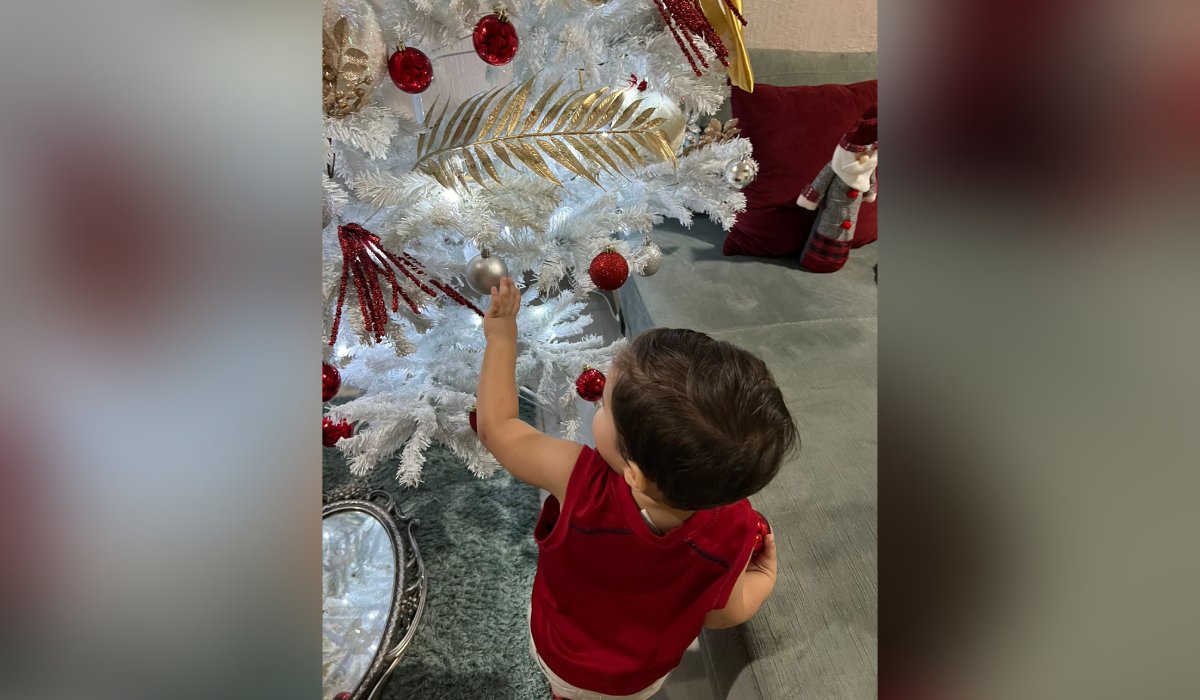 Pino de Navidad