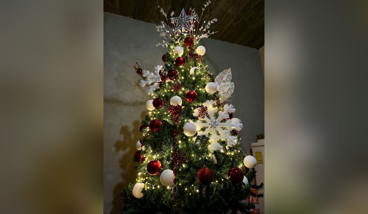 Pino de Navidad
