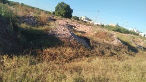 Denuncian plagas en fraccionamiento de Los Mochis