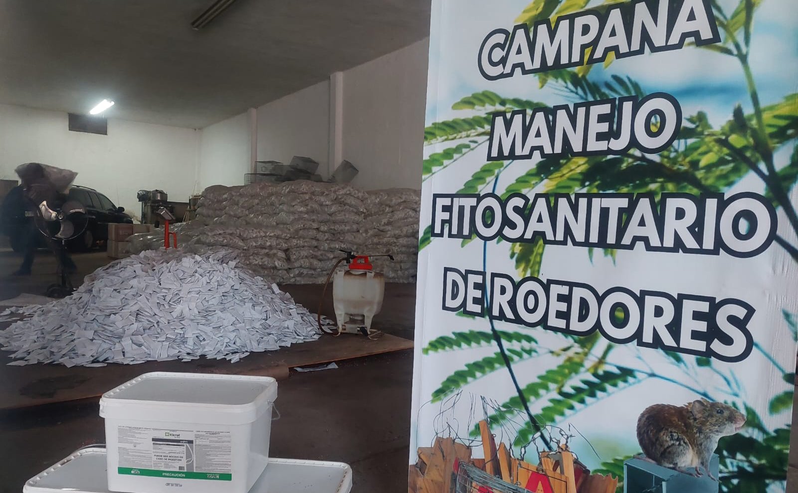 programa fitosanitaria para prevenir roedores