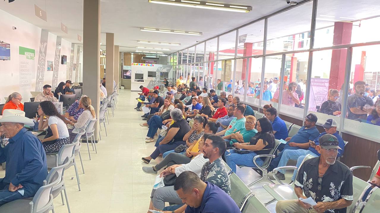 recaudacion de el buen fin guasave