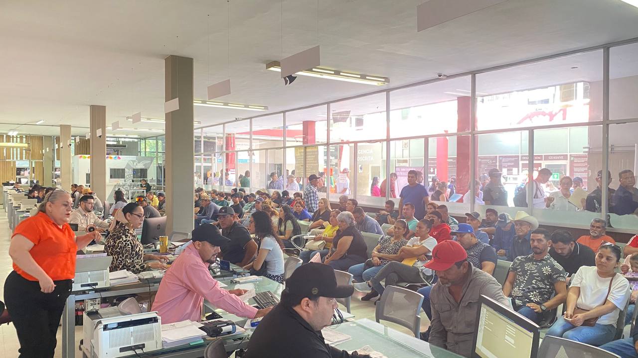 recaudacion de el buen fin guasave
