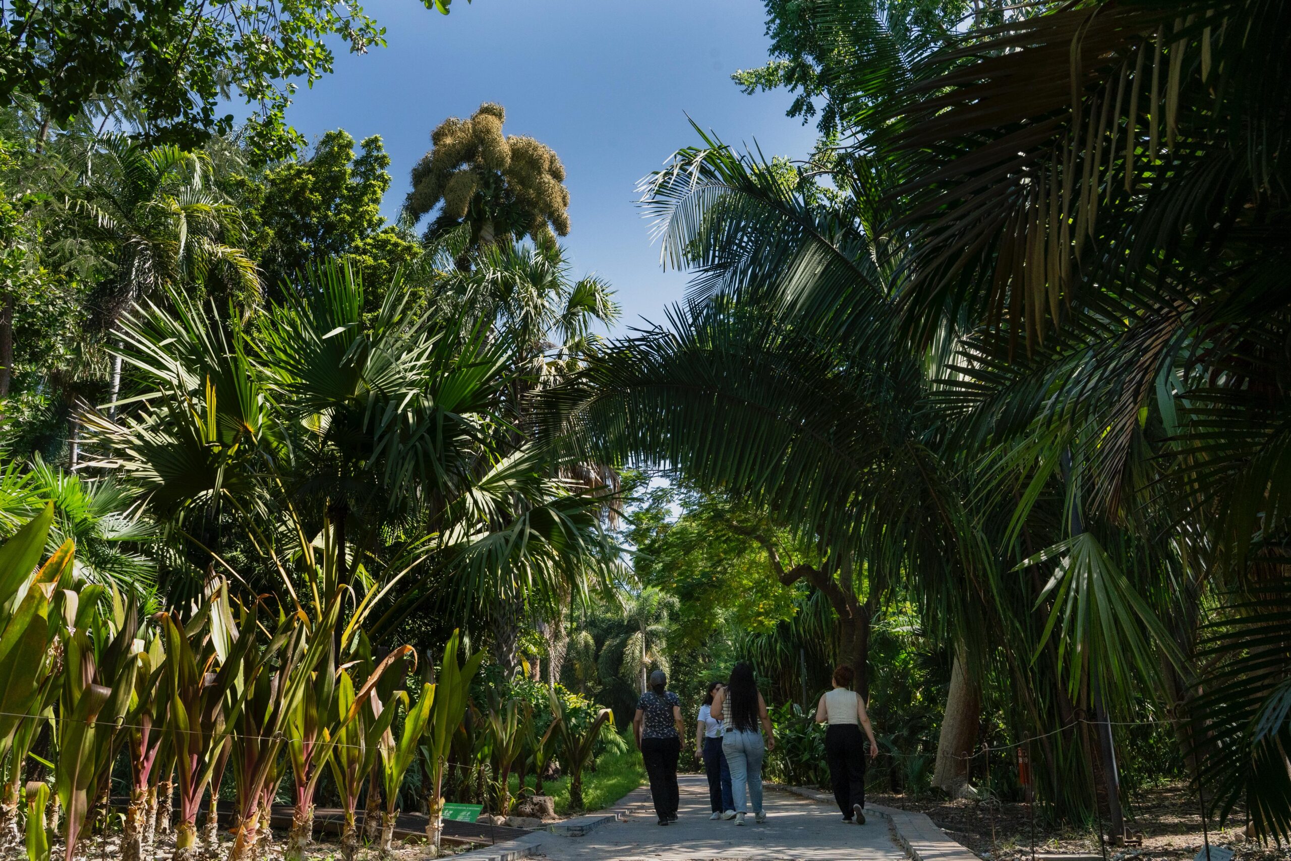 Recorridos por el Jardín Botánico Culiacán
