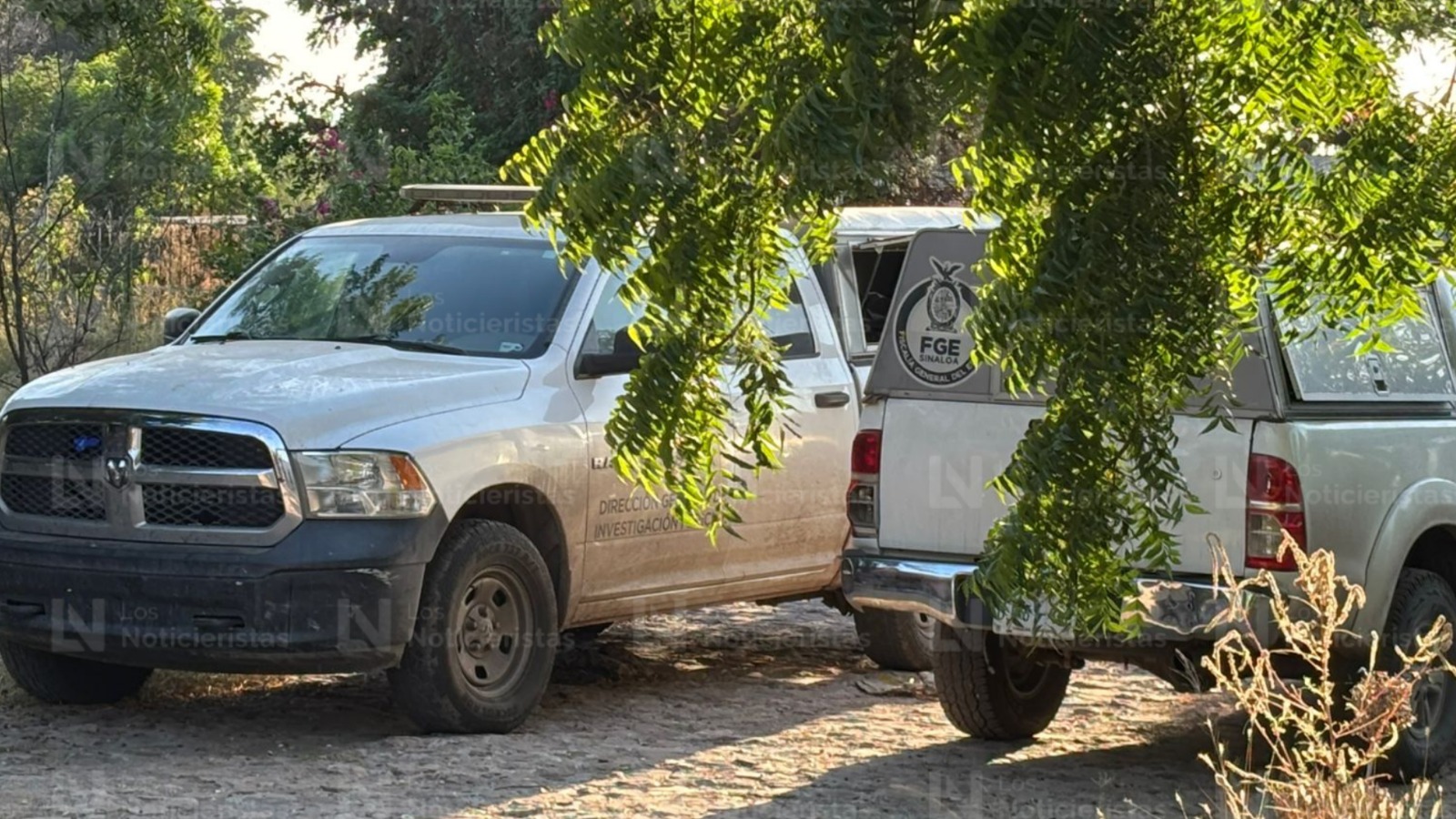 Localizan restos óseos calcinados en un predio de Huertos del Pedregal en Bellavista de Culiacancito