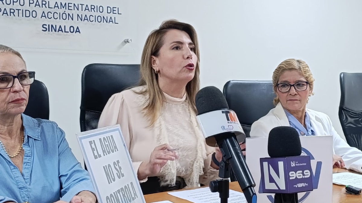 roxana rubio diputada del pan