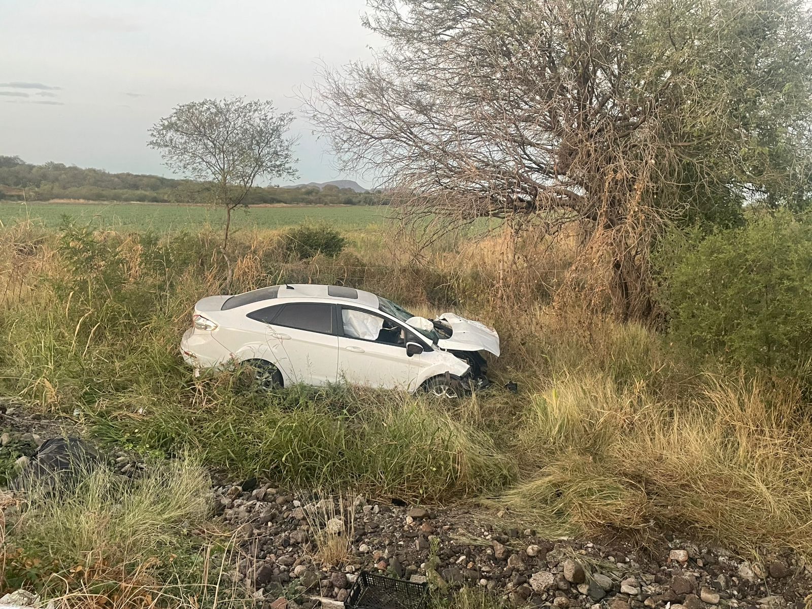 salida de camino en mocorito