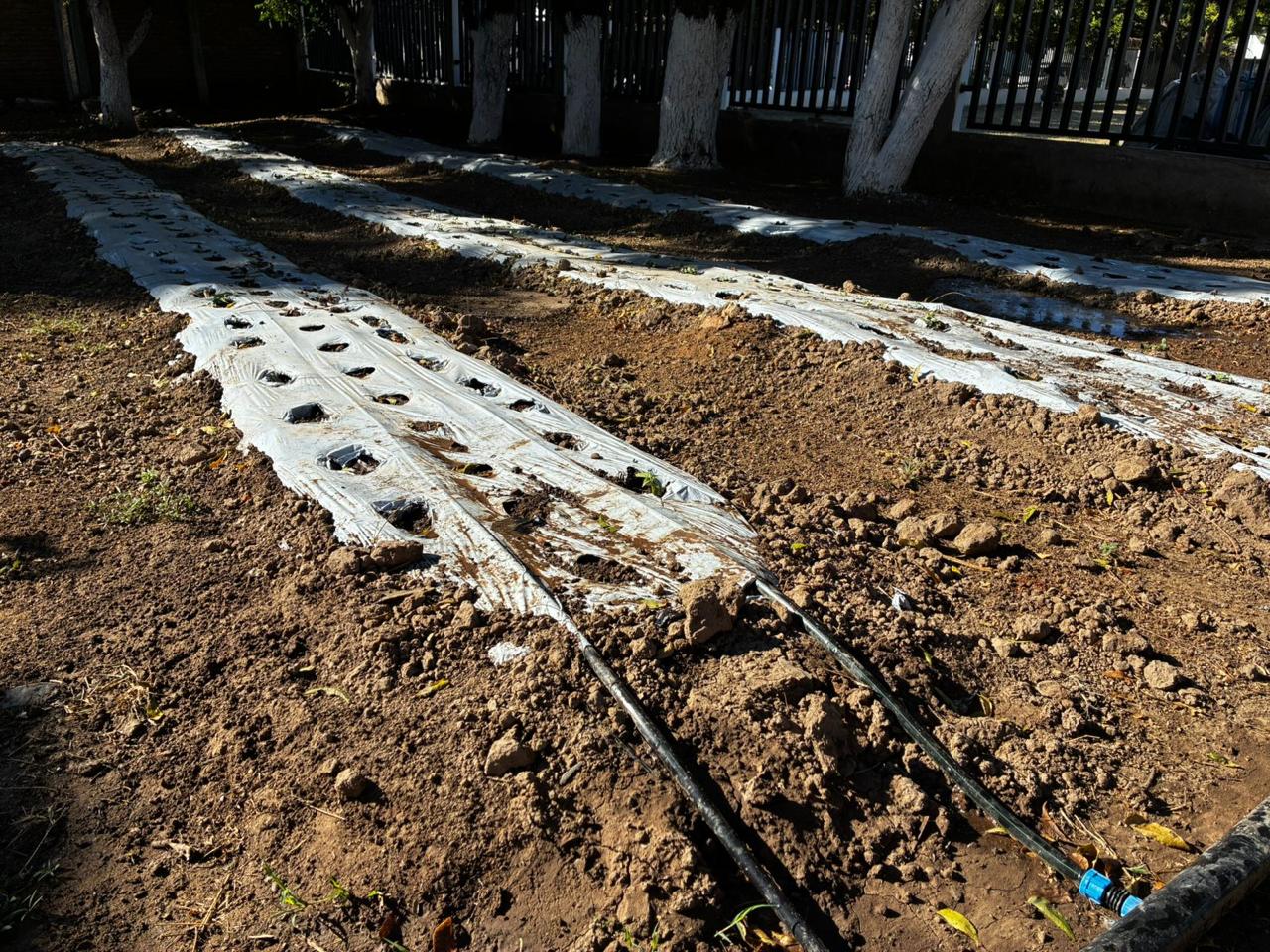 Llega Escuelas de Lluvia a secundaria de Mazatlán