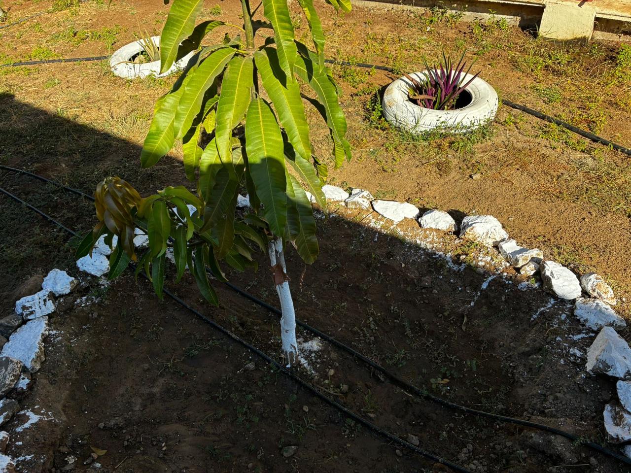 Llega Escuelas de Lluvia a secundaria de Mazatlán