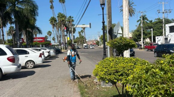 Le entra Servicios Públicos de Ahome a limpieza de parques y jardines, va por el pintado de bulevares ahora