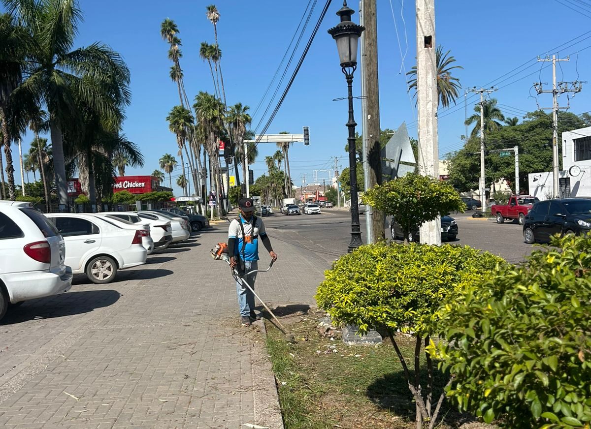 Le entra Servicios Públicos de Ahome a limpieza de parques y jardines