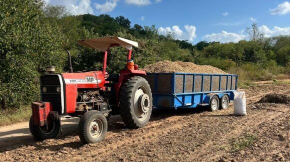 Productores de Mocorito, Sinaloa, llaman a establecer un precio justo para el cacahuate