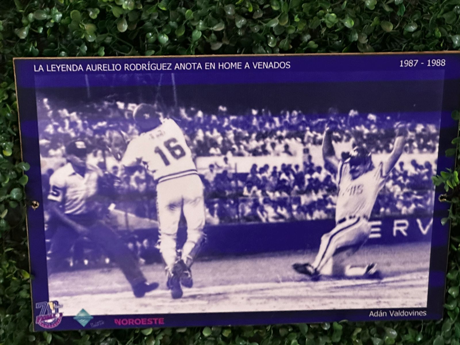 Fotografías antiguas del Club Venados de Mazatlán