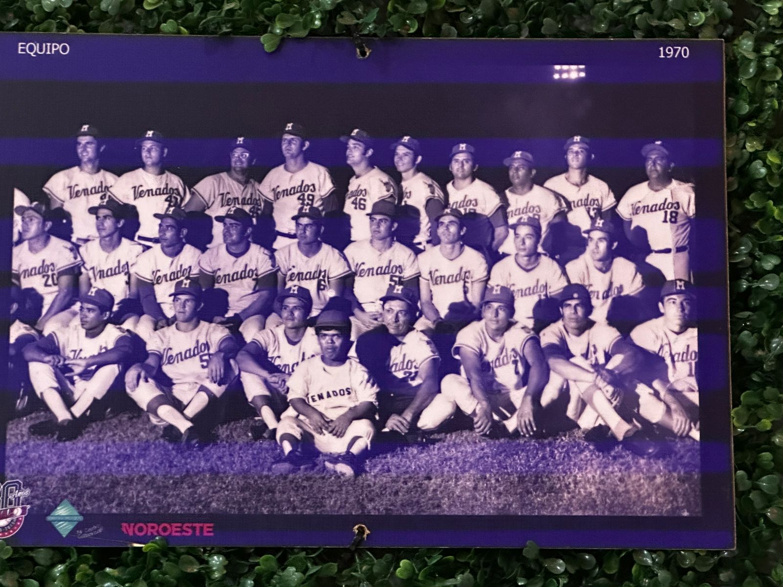 Fotografías antiguas del Club Venados de Mazatlán