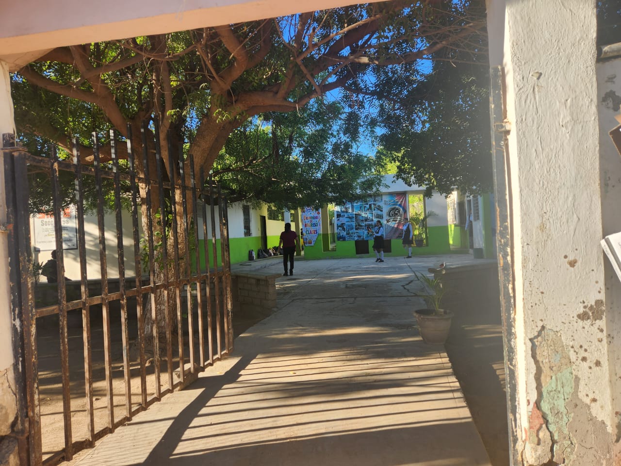 clases presenciales, la primaria Marcelino Velázquez Calleros, ubicada en la comunidad de Caimanero, Guasave, Sinaloa