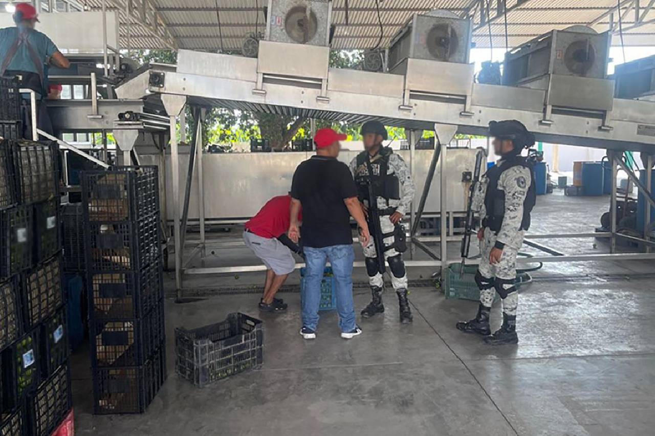 Autoridades detuvieron a 28 personas y aseguraron armas, vehículos y explosivos en Michoacán