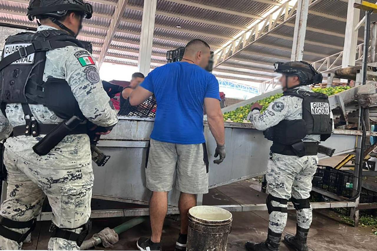 Autoridades detuvieron a 28 personas y aseguraron armas, vehículos y explosivos en Michoacán