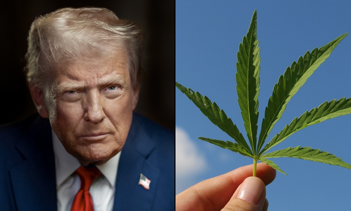 Trump ordena reclasificación de marihuana