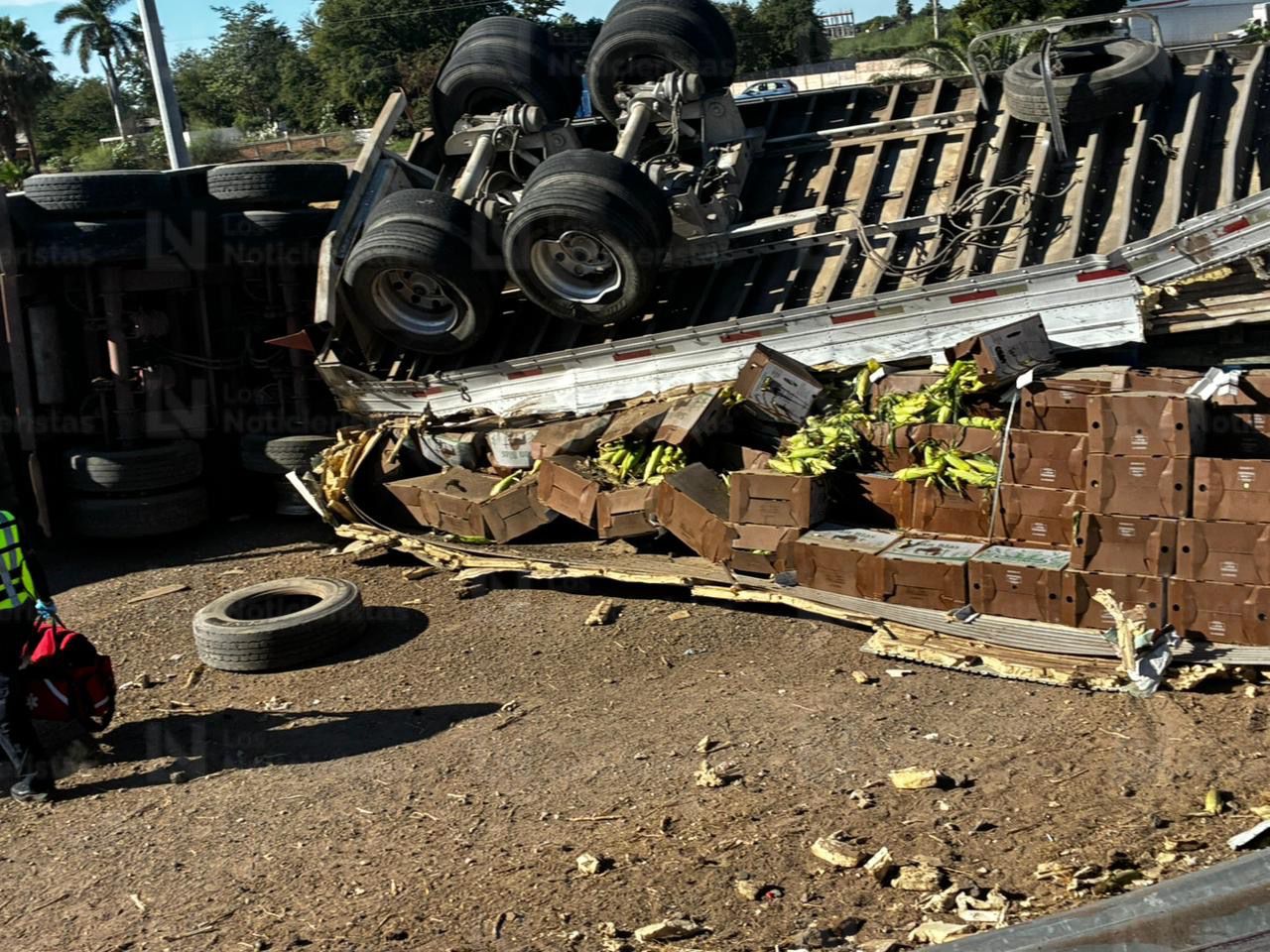 tráiler cargado de elotes volcado