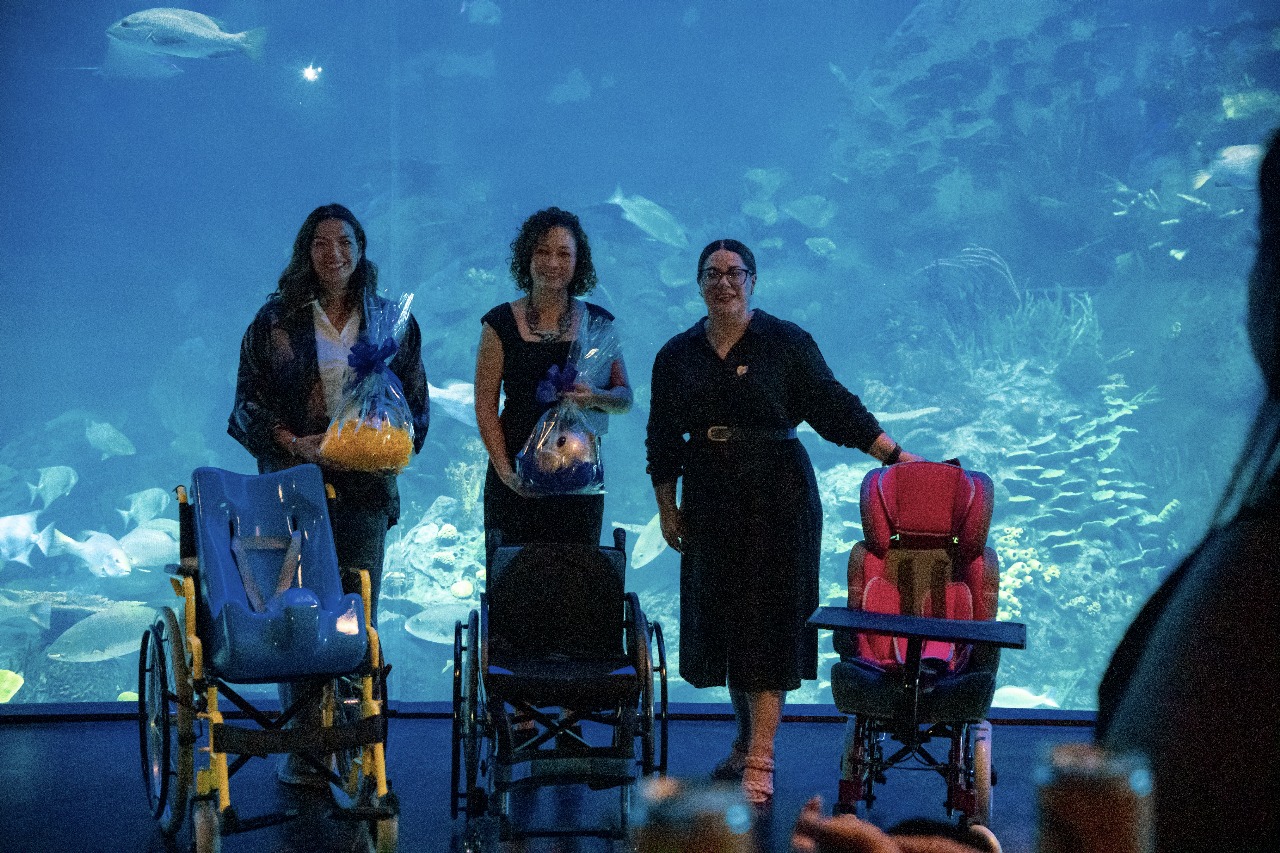 Actividades por el Día Internacional de la Discapacidad en el Gran Acuario Mazatlán
