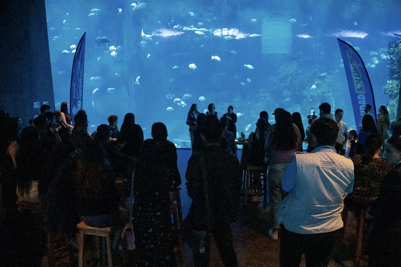 Actividades por el Día Internacional de la Discapacidad en el Gran Acuario Mazatlán