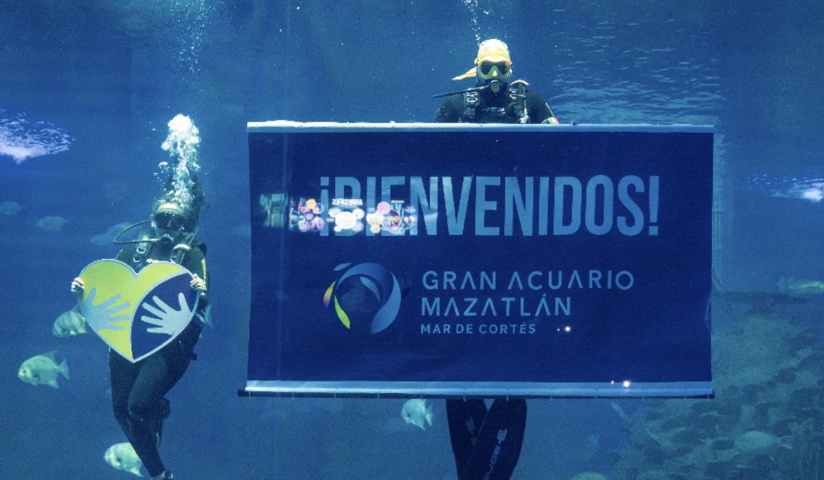 Actividades por el Día Internacional de la Discapacidad en el Gran Acuario Mazatlán