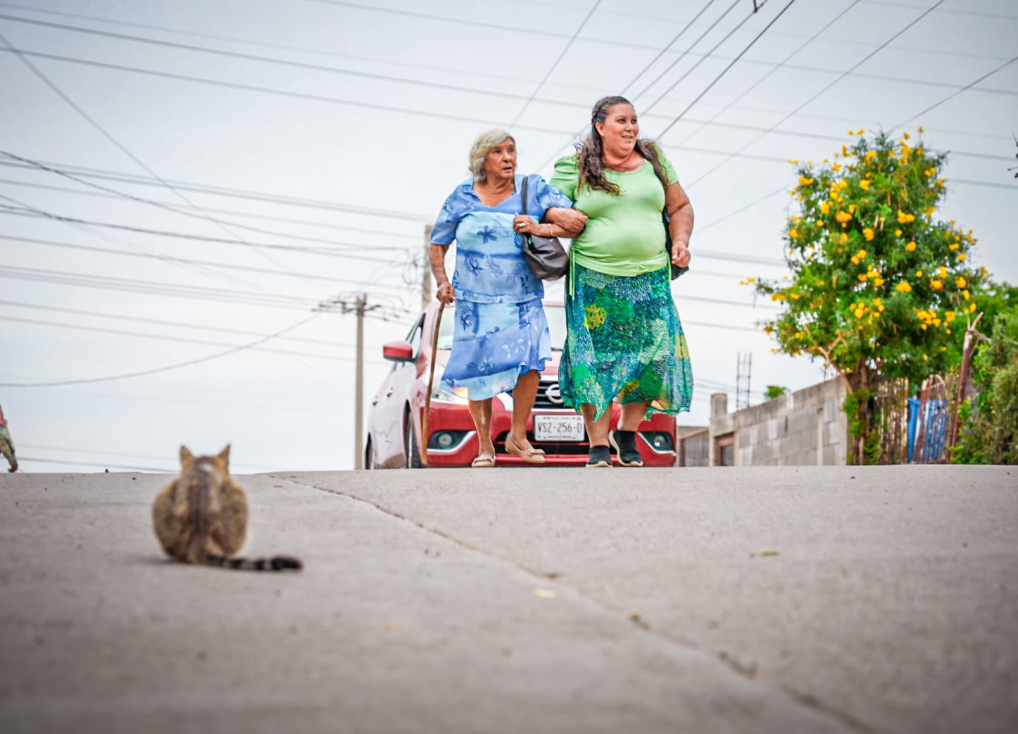 Alcalde de Culiacán entrega pavimentación de calles en la colonia Francisco I. Madero