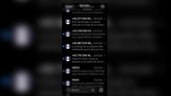 Navidad bajo riesgo: alertan por estafas digitales ligadas a envíos inexistentes