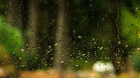 Clima Sinaloa hoy 29 de diciembre | Lluvias de 5 a 25 mm podrían presentarse durante el Año Nuevo; el frío no superará los 14 grados