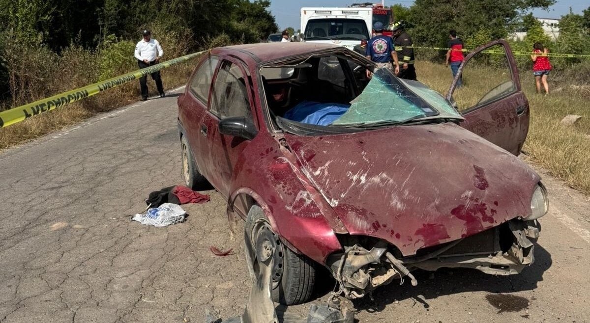 angeles verdes llama a evitar discusiones o distractores del conductor al manejar por carretera
