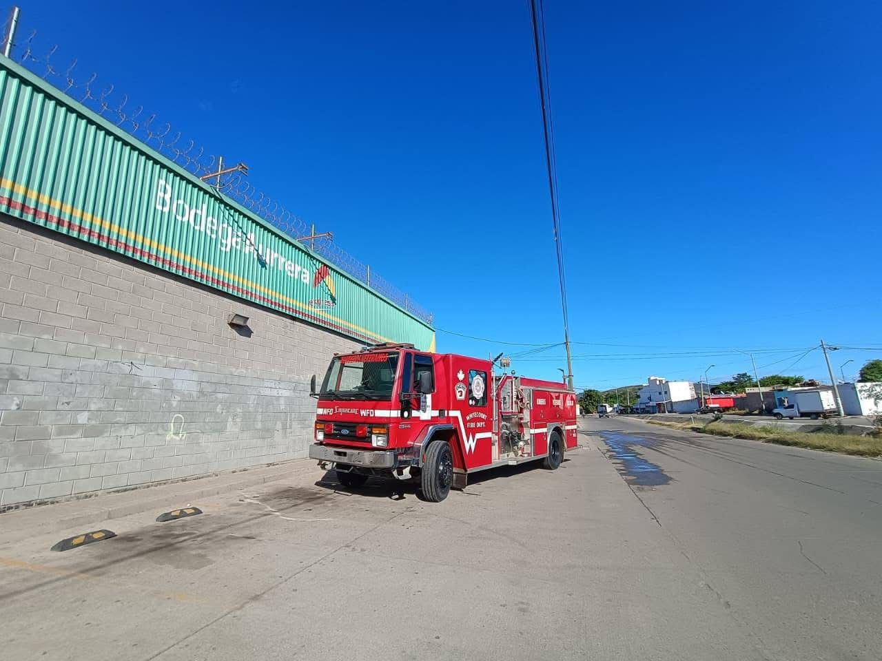 aparece serpiente en comercio de mazatlan