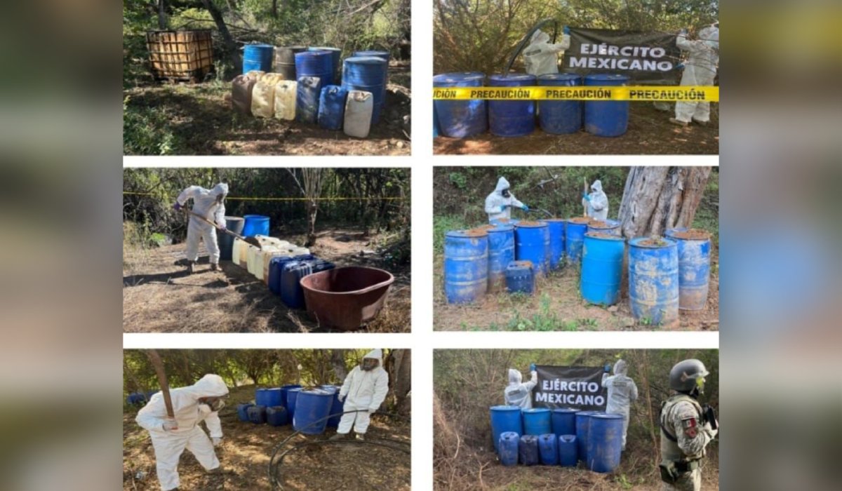Áreas de precursores químicos aseguradas en Cosalá, Sinaloa