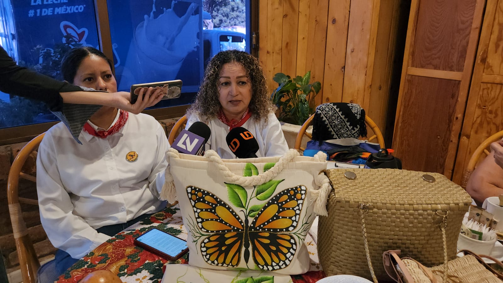 artesanías indígenas de Sinaloa