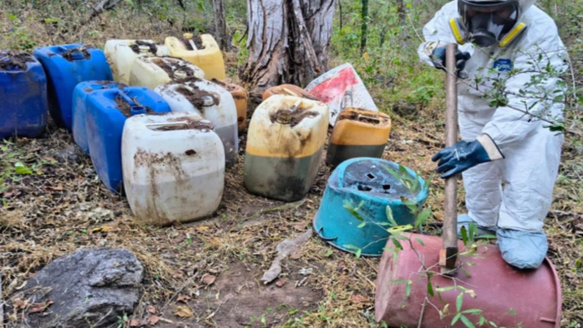 aseguran areas de almacenamiento de precursores quimicos clandestinas en culiacan y cosala sin
