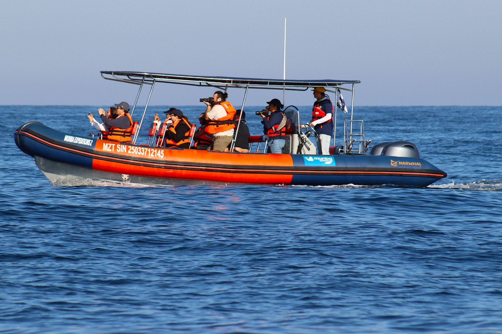 avistamiento de ballenas en mazatlan