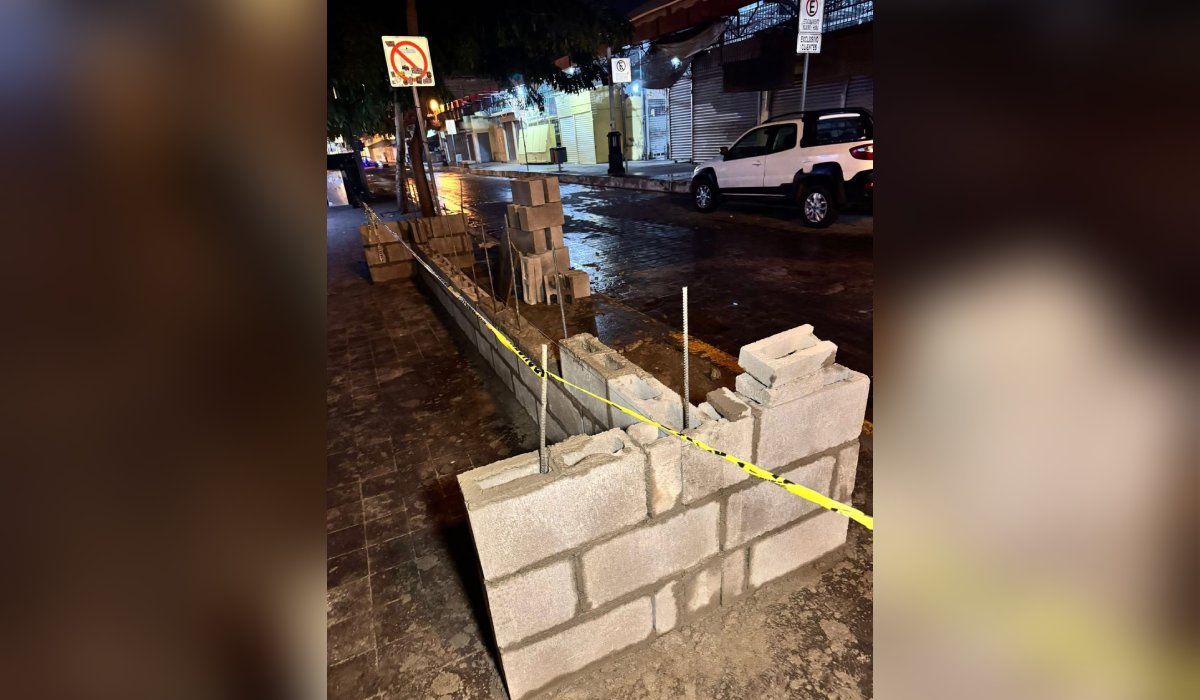 Barda en el Mercado Pino Suárez de Mazatlán