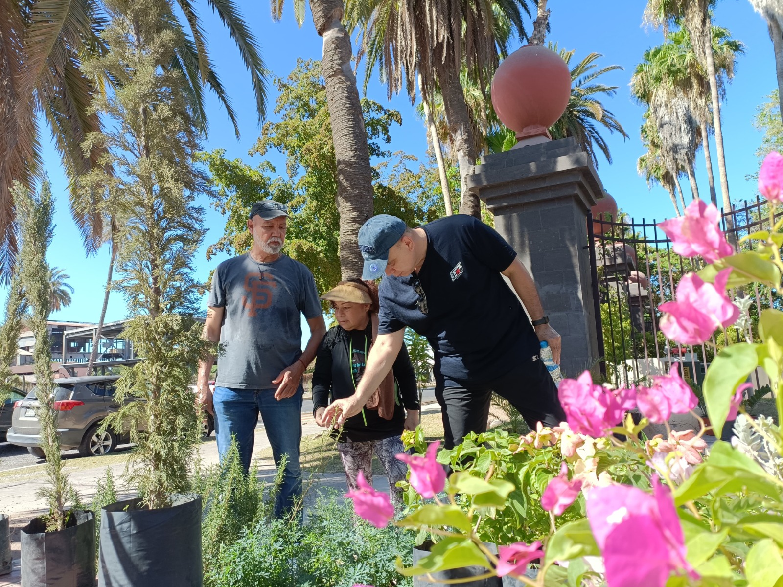 Bazar de plantas en el Parque Sinaloa de Los Mochis