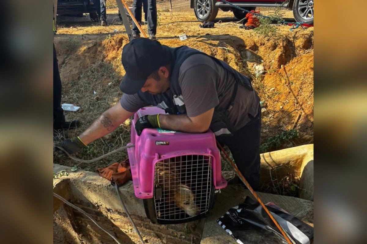 Bomberos Mazatlán rescatan perrito de un pozo