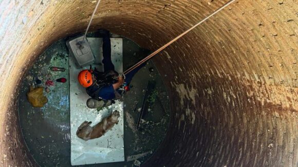 ¡Todas las vidas importan! Rescatan Bomberos Mazatlán, Sinaloa a canino atrapado en tiro de agua de 20 metros