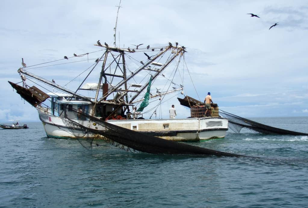 botes de pesca