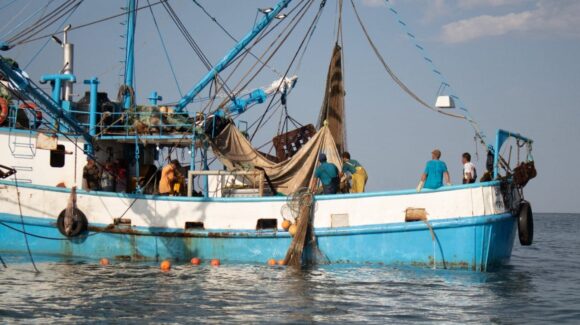 ‘Diputados, pónganse a legislar’: Unión de Armadores a la Comisión de Pesca ante incertidumbre en el sector