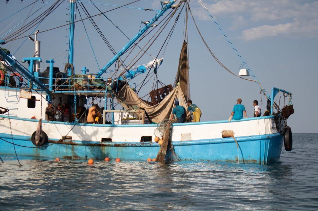 botes de pesca