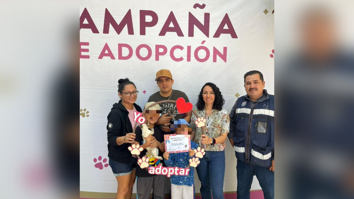 Campaña de adposición de mascotas
