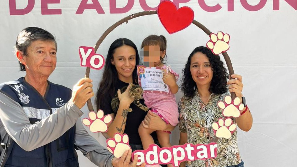 Campaña de adposición de mascotas