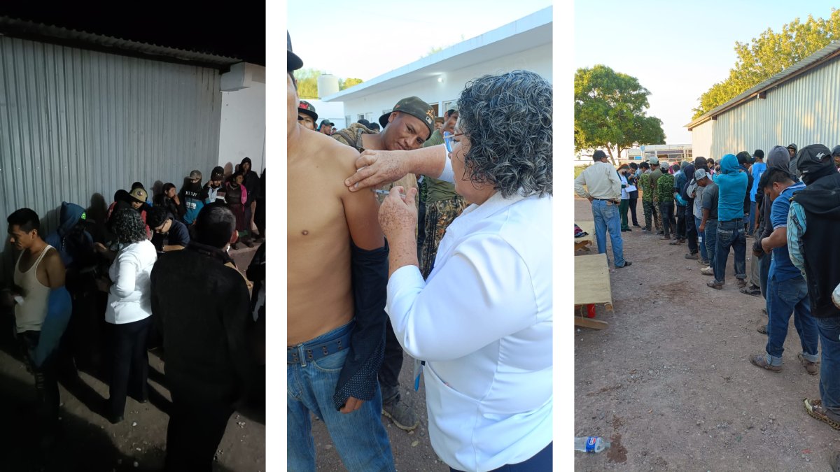vacunación contra sarampión en campos agrícolas de Angostura