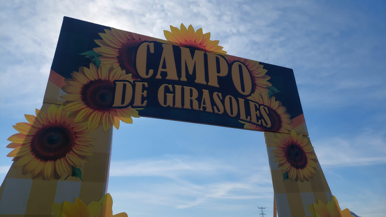 Campo de Girasoles en Mocorito
