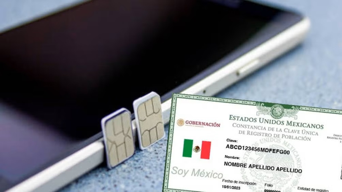Chip de celular y CURP. Registro de usuarios al número celular