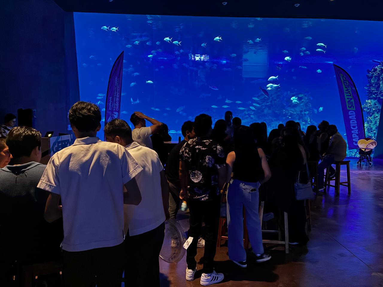 Cena con causa en el Gran Acuario de Mazatlán