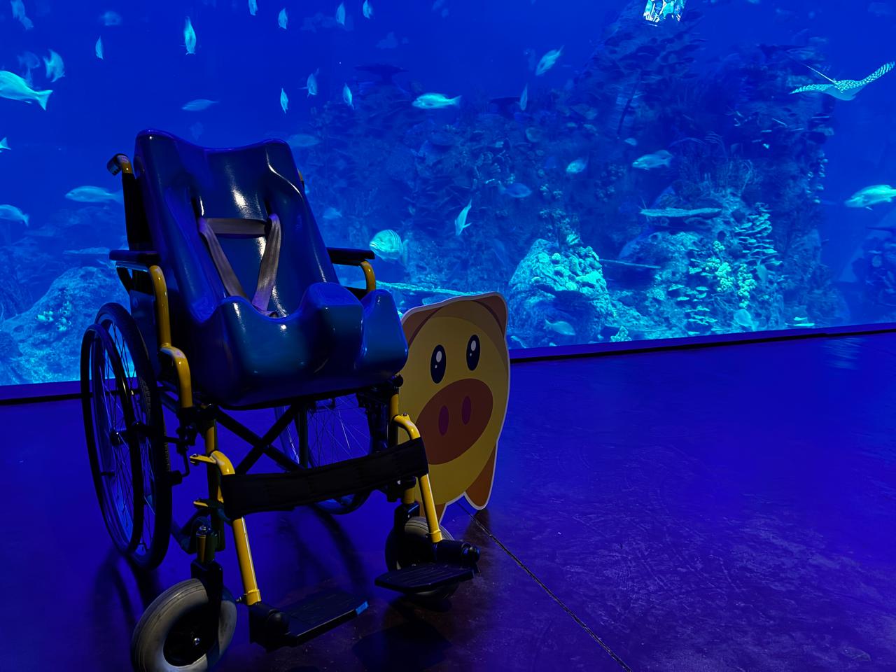 Cena con causa en el Gran Acuario de Mazatlán