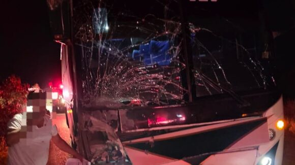 Autobús de pasajeros choca contra un caballo por la México 15, en Salvador Alvarado, Sinaloa