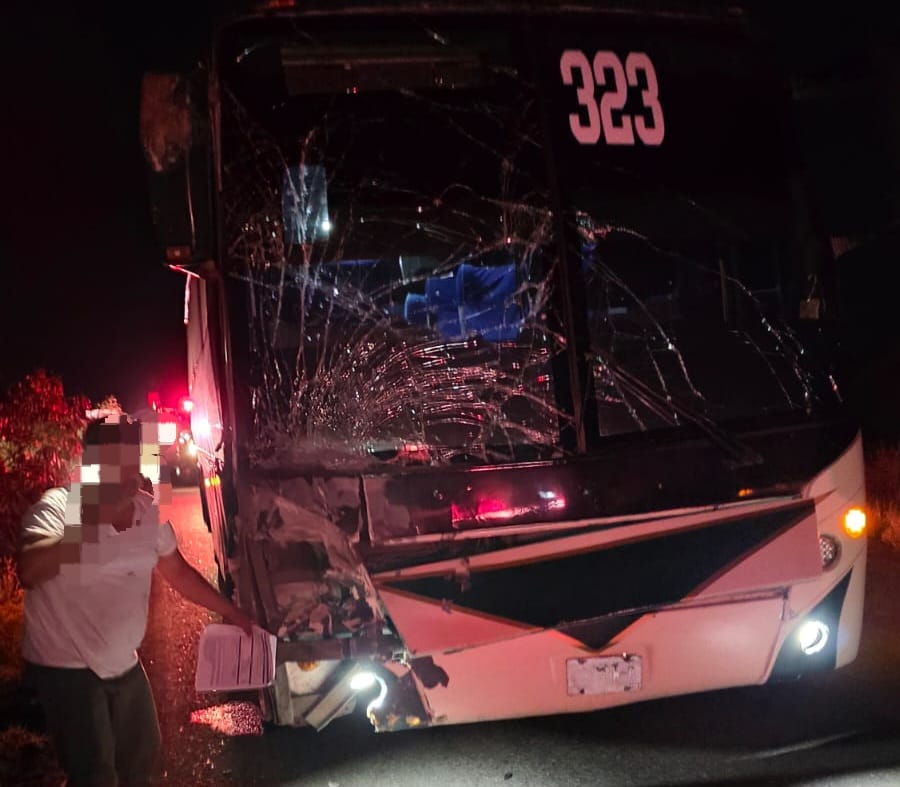 Choque entre caballo y autobús en Salvador Alvarado, Sinaloa